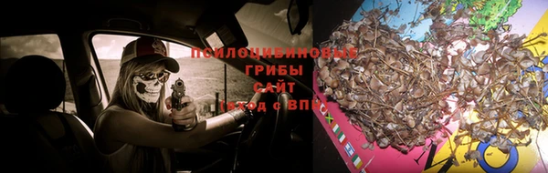 марихуана Абаза
