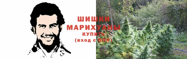 СК Абинск