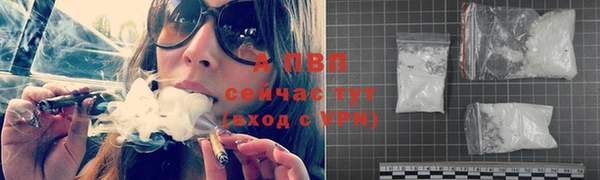 СК Абинск