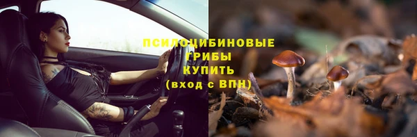 СК Абинск
