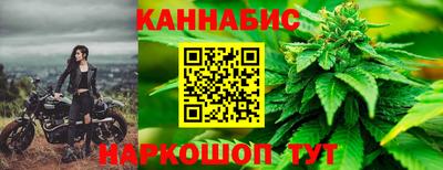 сатива Обь