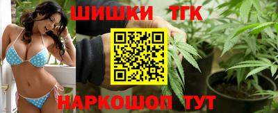 прущие грибы Новодвинск