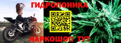 прущие грибы Новодвинск