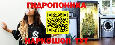 прущие грибы Новодвинск
