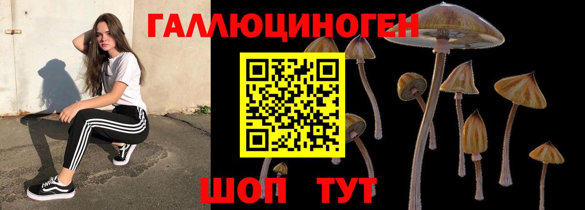 Псилоцибиновые грибы мицелий Топки